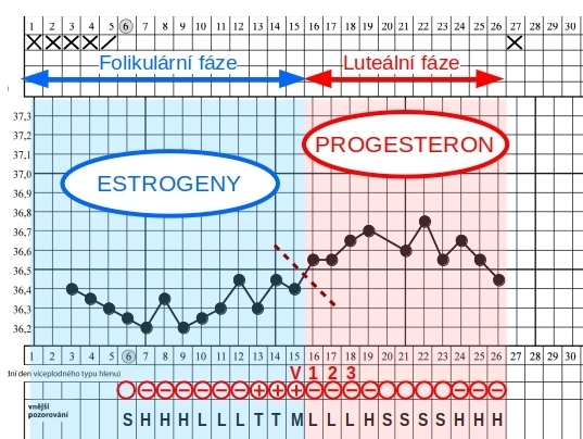 Pár poznámek k luteální fázi